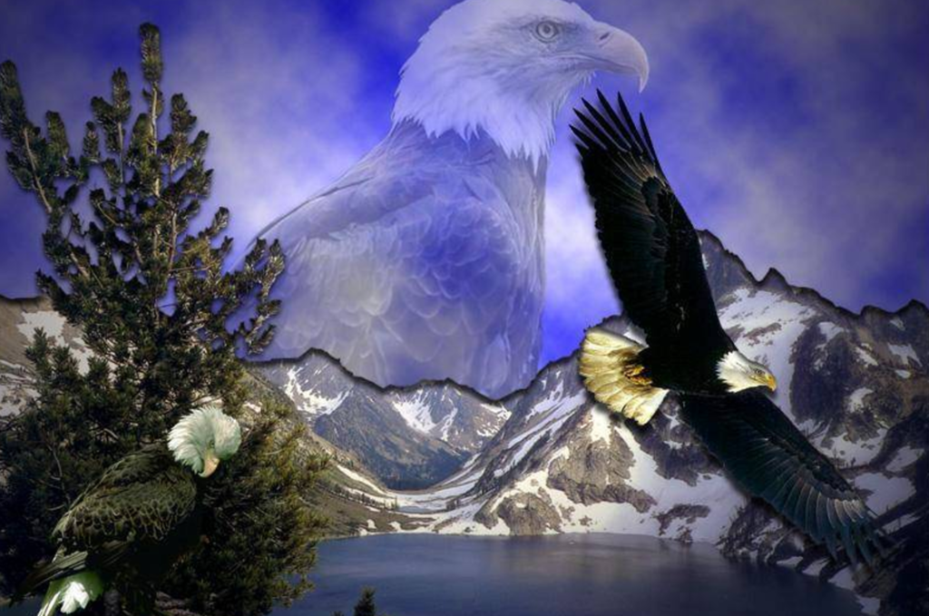 The 70-Year Lifespan of the Eagle