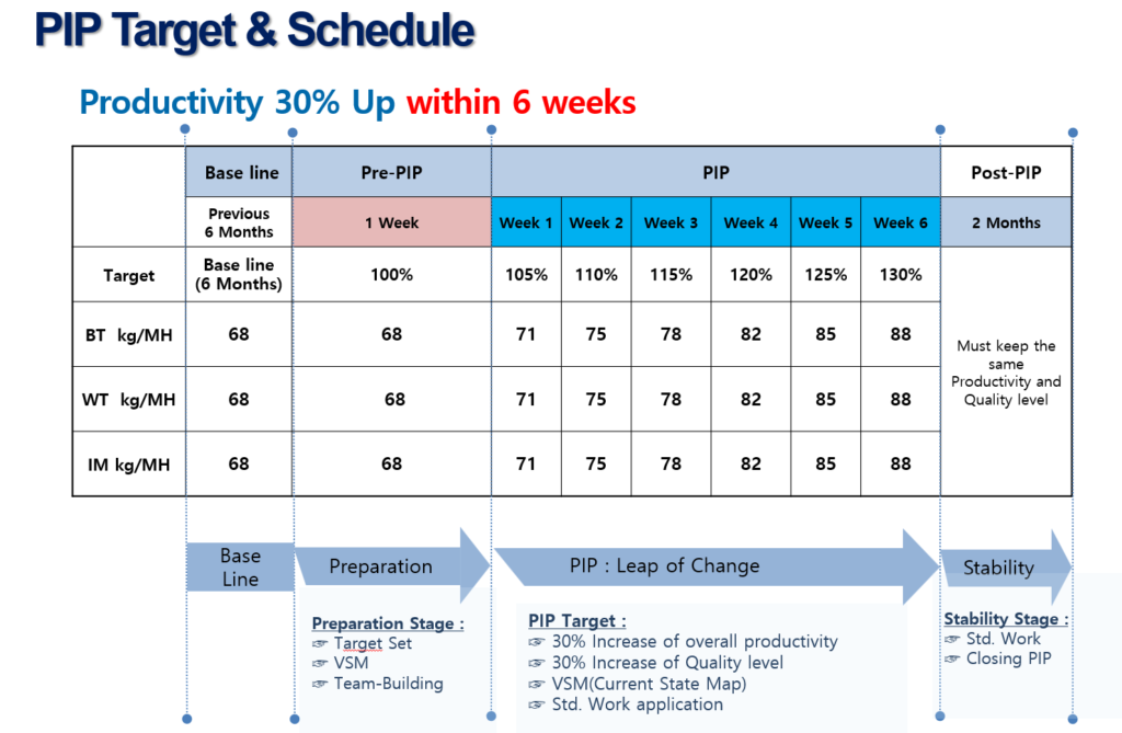 PIP Target & Schedule