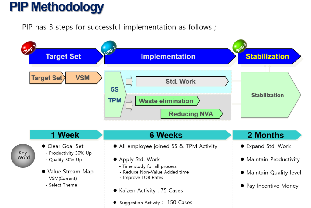 The 6-Week Execution Timeline and Step-by-Step Methodology