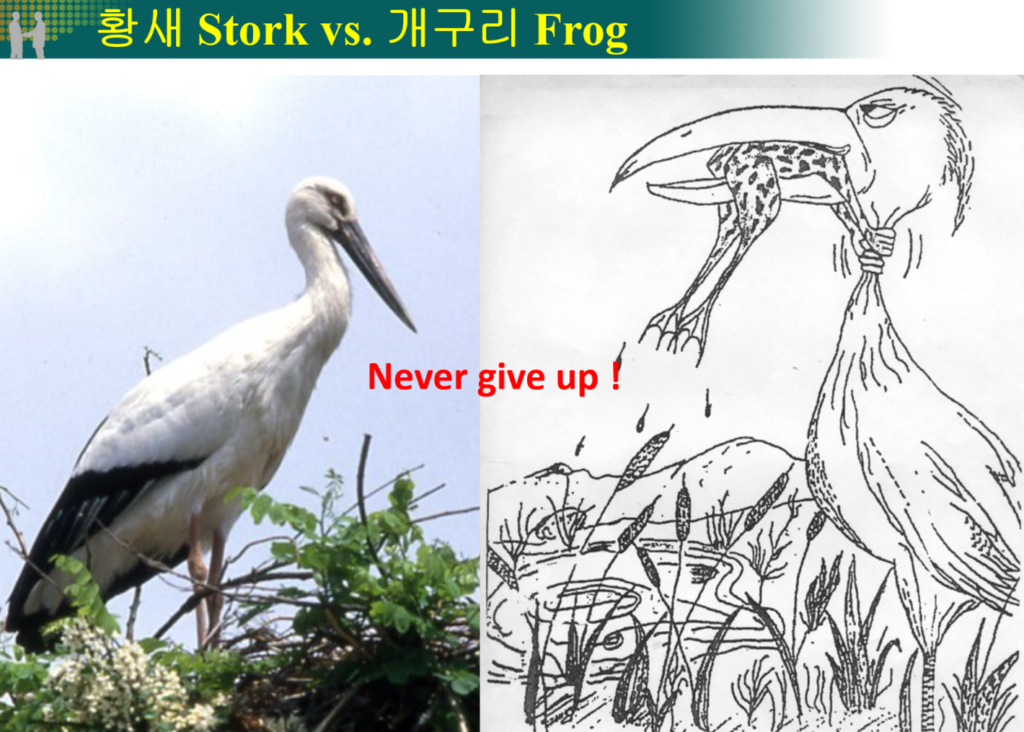 Never Give Up Spirit : The image below shows the survival game between a stork and a frog.